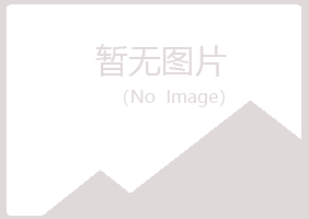 渭城区夏岚咨询有限公司